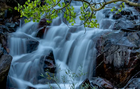 Water, stones, rocks, foliage, waterfall, stream, branch