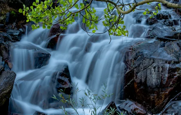 Picture water, stones, rocks, foliage, waterfall, stream, branch