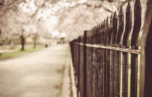 Macro, the city, the fence