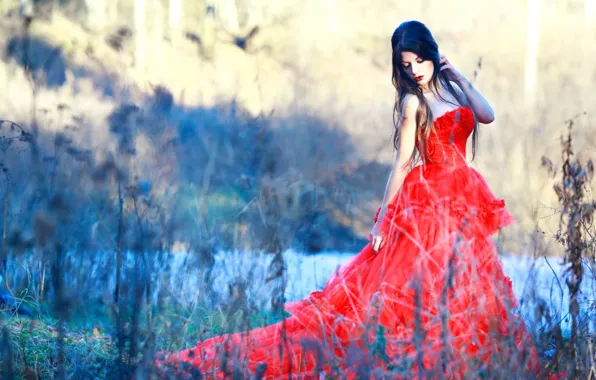 Picture red, dress, brunette