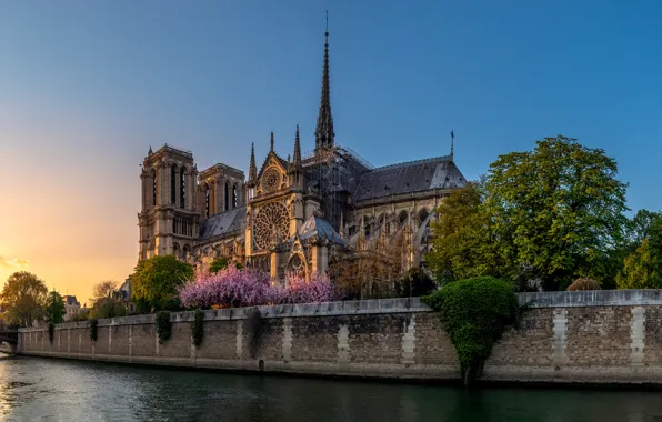 The city, river, France, Paris, the evening, Hay, Cathedral, temple
