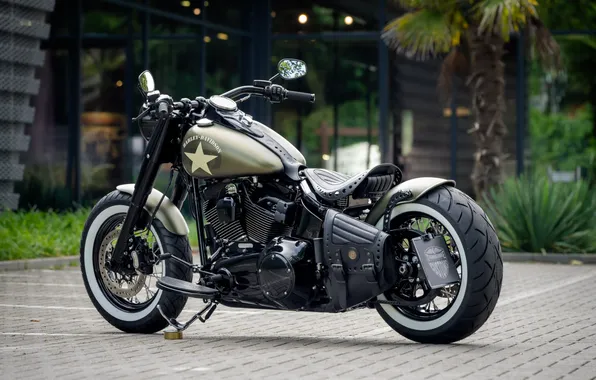 Picture Harley-Davidson, Tuning, Softail, Rear, Customized, Thunderbike, Olive Joe, Custombikes