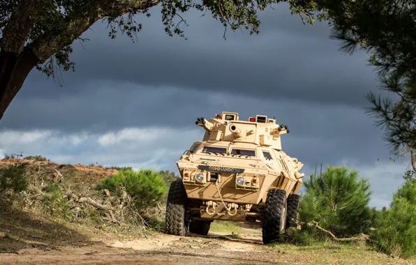 Armor, vehicle, cannon, U.S. Army, armored vehicle, M1117 Armored Security Vehicle
