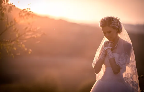 The bride, wedding, wedding dress