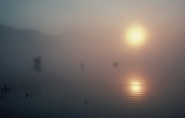 The sun, fog, lake