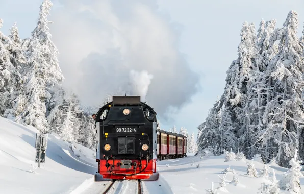 Winter, forest, the engine, railroad
