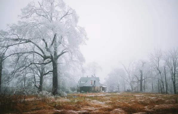 Winter, trees, fog, house, farm