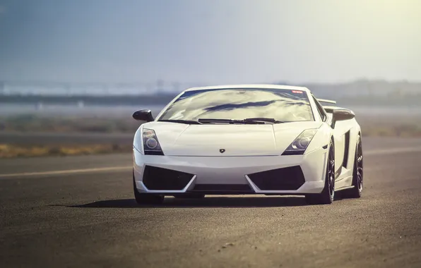 Picture Lamborghini, white, white, Gallardo, Lamborghini, front, Lamborghini, Gallardo