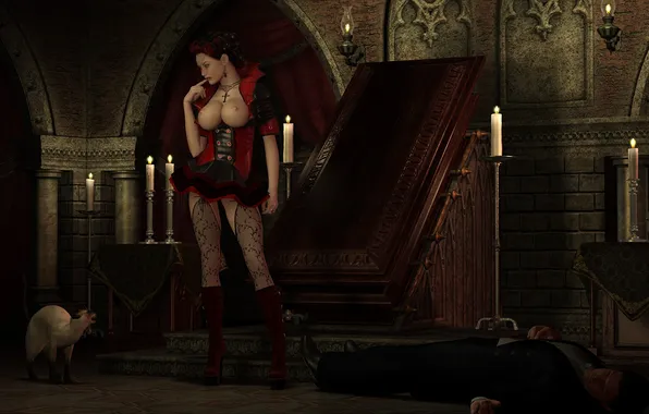 Chest, cat, body, the coffin, the corpse, vampire, lady vamp