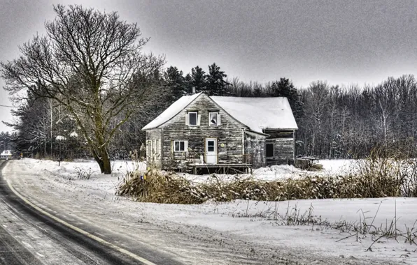 Picture winter, road, nature, house