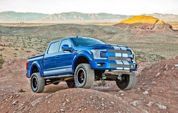 Ford, Shelby, 2018, F-150, Shelby F-150 2018