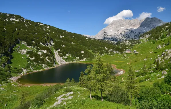 Mountains, lake, Alps