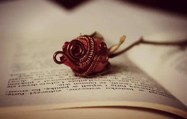 Flower, rose, book, page