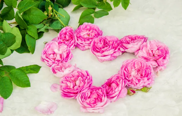 Love, flowers, heart, roses, petals, love, pink, heart