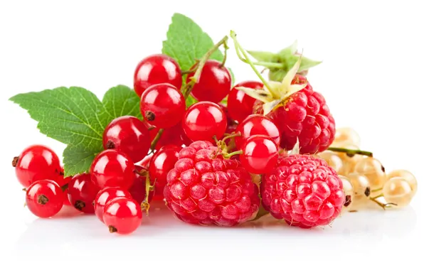 Berries, raspberry, red currant, white currants