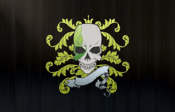 Picture background, vector, Skull