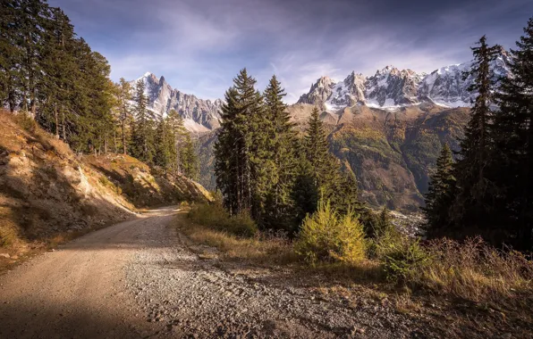 Picture road, autumn, landscape