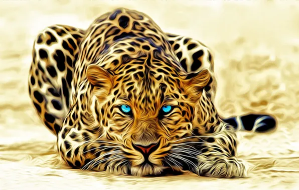 Eyes, blue, leopard, lies, color