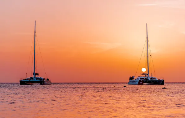 The sun, the ocean, dawn, boats, morning, calm, mast, at anchor