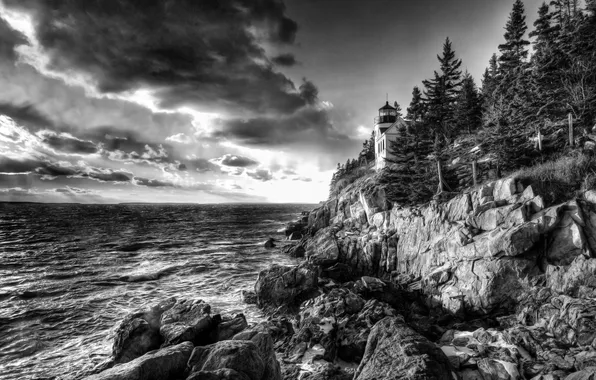 Trees, landscape, the ocean, rocks, lighthouse, black and white photo
