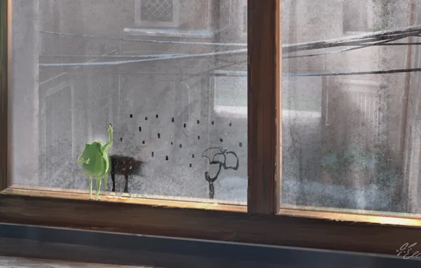 Rain, frog, umbrella, window, draws