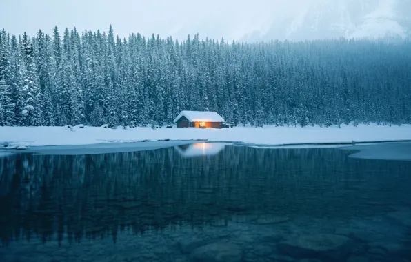 Winter, forest, water, nature, house