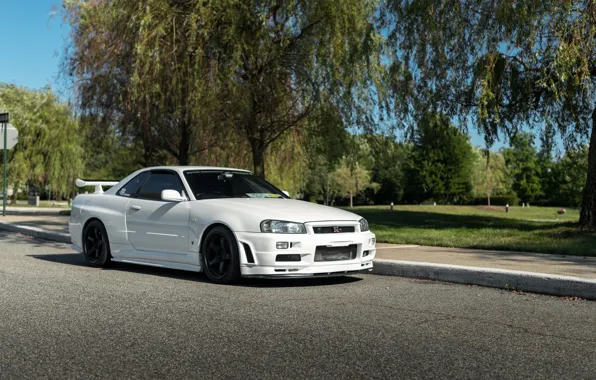 Picture GT-R, White, Street, R34, Trees