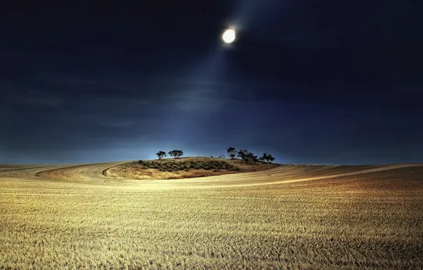 Field, landscape, night
