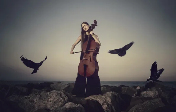 Picture girl, birds, cello