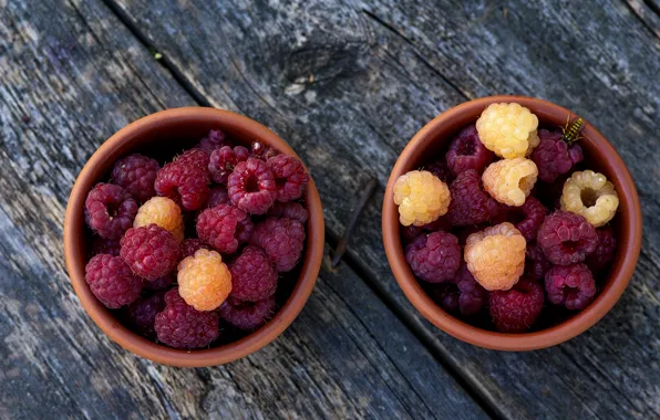 Raspberry, background, berry, bowl