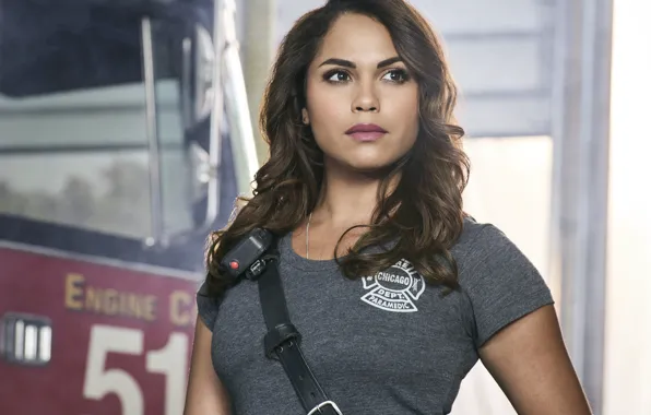 Picture look, pose, brunette, the series, Monica Raymund, Monica Raymund, Chicago Fire, Chicago Fire