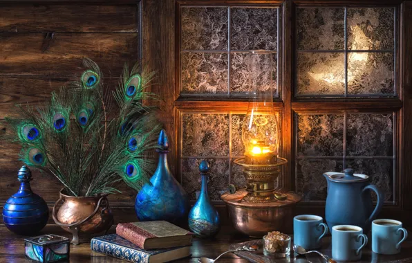 Blue, books, lamp, coffee, feathers, window, frost, dishes