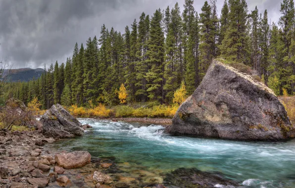 Forest, the sky, clouds, mountains, rock, river, stones