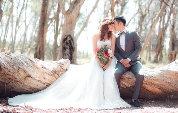 Picture leaves, trees, tree, bouquet, pair, the bride, forest, wedding