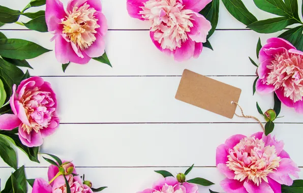 Picture flowers, bouquet, pink, wood, pink, flowers, beautiful, peonies