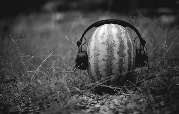 Picture creative, mood, black and white, watermelon, headphones, the idea