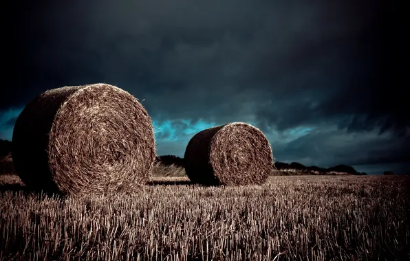 Field, the sky, hay