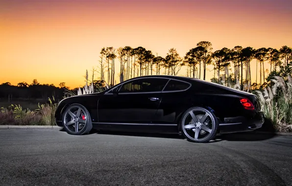 Black, coupe, Bentley, Continental GT, black, Bentley, continental