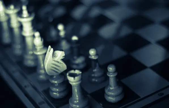 Picture background, the game, chess