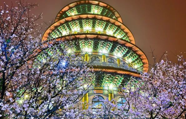 Trees, night, lights, the building, spring, backlight, blooming