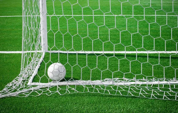 Field, grass, mesh, football, the ball, gate, goal, stadium