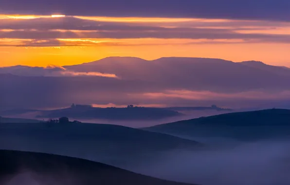 Field, landscape, fog