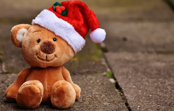 Picture photo, toy, Christmas, bear