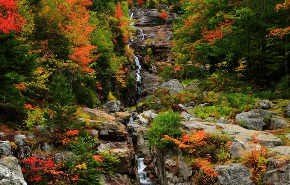 Autumn, forest, trees, mountains, nature, rocks, waterfall, colors