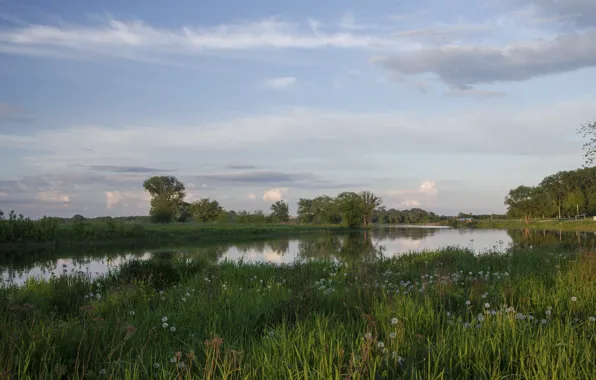 Greens, summer, water, lake, reflection