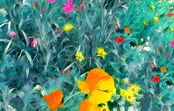 Picture field, grass, leaves, nature, Mac, petals, meadow, kosmeya