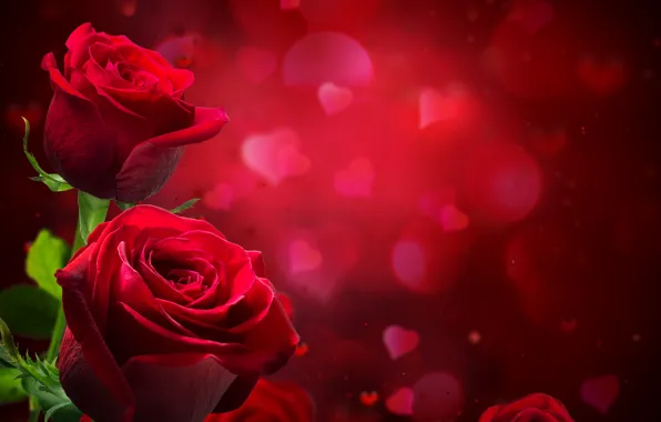 Picture glare, background, roses, blur, hearts, red, closeup