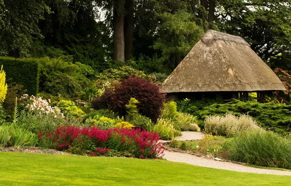 Greens, grass, trees, flowers, Park, lawn, garden, track