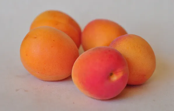 Picture macro, fruit, apricot
