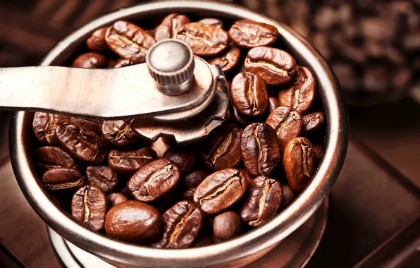 Picture coffee, grain, Coffee, coffee, coffee grinder, coffee beans, beans